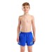Шорти Arena BEACH SHORT LOGO R (006446-862)