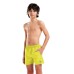 Шорти Arena BEACH BOXER SOLID R (006447-381)
