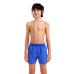 Шорти Arena BEACH BOXER SOLID R (006447-831)