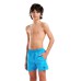 Шорти Arena BEACH BOXER SOLID R (006447-872)
