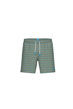 Шорти Arena WATER PRINTS BEACH BOXER AO (007153-651)