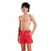 Шорти Arena WATER PRINTS BEACH BOXER AO (007186-410)