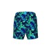 Шорти Arena WATER PRINTS BEACH BOXER AO (007186-806)