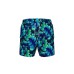 Шорти Arena WATER PRINTS BEACH BOXER AO (007186-806)