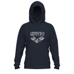 Реглан Arena UNBRUSHED HOODED SWEAT L (007675-700)