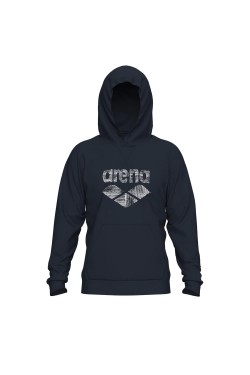 Реглан Arena UNBRUSHED HOODED SWEAT L (007675-700)