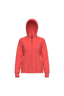 Реглан Arena UNBRUSHED HOODED F/Z (007676-900)