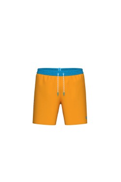 Шорти Arena TEAM STRIPE BEACH (008931-380)