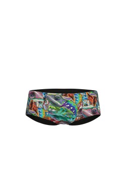 Плавки Arena IGUANAS SWIM LOW W (010217-501)