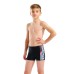 Плавки Arena LIT LOGO SWIM SHORT (010692-550)