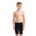 Плавки Arena LIT LOGO SWIM JAMMER (010693-550)