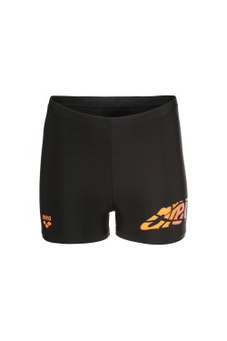 Плавки Arena LETTERING SWIM SHORT (010864-500)