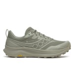 Кросівки для бігу Saucony PEREGRINE 16 GTX (S21068-110)